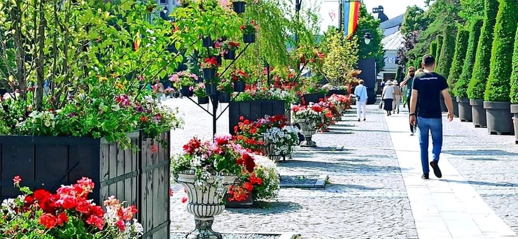  Strada cu flori