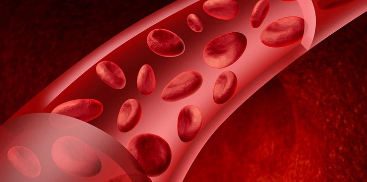 grafica particole de sange la nivel microscopic