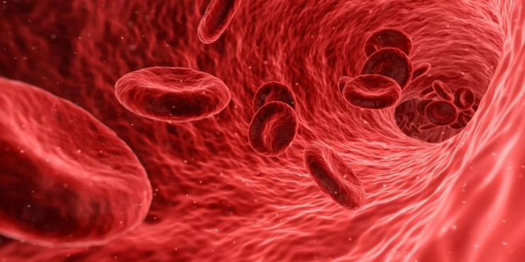 grafica globule rosii din sange