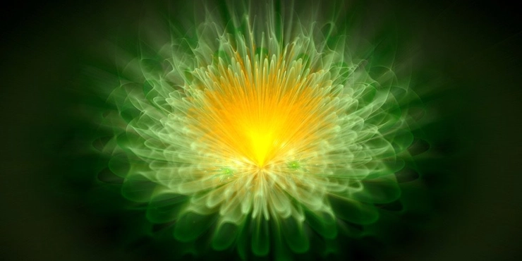 floare de lotus reiki chakra inimii