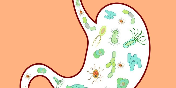bacterie la stomac grafica