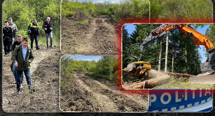 Masacrul din pădurea Căprița Iași a fost demascat Ce riscă proprietarul care a încălcat legea 8211 FOTO