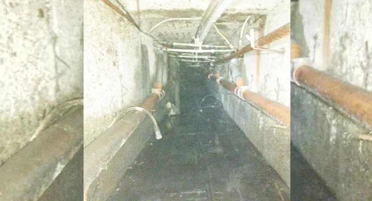 Pericol în subsolurile blocurilor din Iași Muncitorii au rămas îngroziți de ce au găsit Pot fi riscuri epidemiologice 8211 FOTO