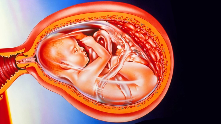 copil in cavitatea uterina