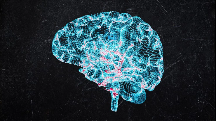 grafica creierul uman