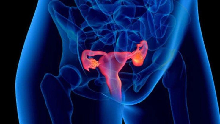 grafica ovarele unei femei