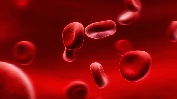 grafica particole de sange la nivel microscopic