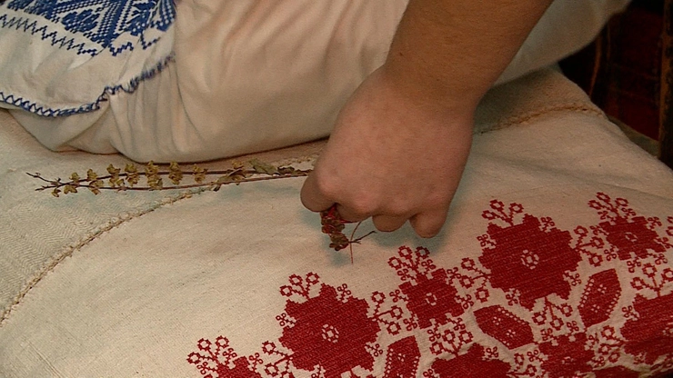 o mana care asaza busuioc sub o perna