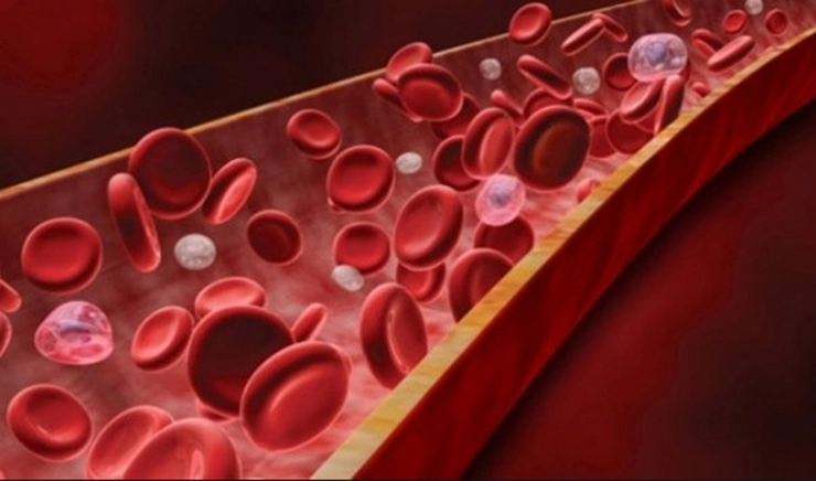 grafica globule rosii din sange