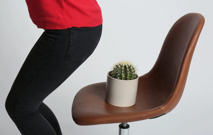 grafica pentru hemorizi persoana care vrea sa se aseze un scaun unde este un cactus