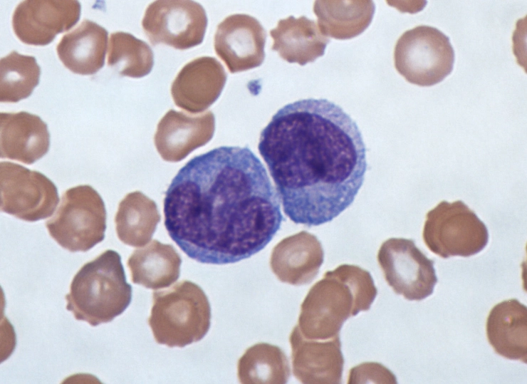 doua monosite langa alte molecule