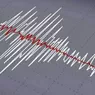 Cutremur puternic în România. Unde s-a resimțit și ce magnitudine a înregistrat