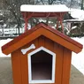 Cușcă de câine pentru iarnă. De ce factori trebuie să ții cont când construiești un adăpost pentru patrupedul tău