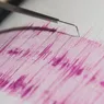 Un nou cutremur în România. Seismul a avut magnitudinea de 35 grade pe scara Richter