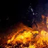 Povestea unei femei care și-a dat viața pentru a-și salva caii din foc