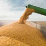 Ordonanța promisă fermierilor publicată în transparență de Ministerul Agriculturii 8211 Document
