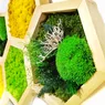 Cum să folosești lichenii decorativi pentru amenajarea casei tale Idei pentru a crea un spațiu natural și relaxant