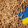 Polonia va verifica toate transporturile de cereale care provin din Ucraina