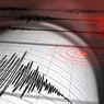 Mihail Diaconescu fizician la Institutul Naţional pentru Fizica Pământului spune care sunt riscurile la care s-ar putea expune România după seria de cutremure din Turcia
