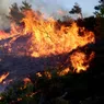A fost dat verdictul în cazul incendiilor din Grecia izbucnit în 2018. Membrii familiilor celor peste 100 de victime au izbucnit în lacrimi