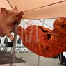 Ultima seară de priveghi la Costel Corduneanu. Se așteaptă câteva sute de persoane. Pentru ele se pregătesc porci și berbeci la proțap 8211 GALERIE FOTO VIDEO