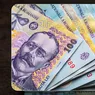 Bani în conturile fermierilor din Iași de săptămâna viitoare Beneficiarii primesc 100 de euro la hectar