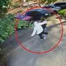 O femeie a ajuns la spital după ce a fost atacată pe stradă de un necunoscut 8211 VIDEO