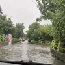 Ploaia a făcut ravagii la Iași Pompierii au lucrat la foc continuu inundații și copaci căzuți pe carosabil