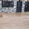 Zece gospodării sunt inundate în suburbia Gâștești a municipiului Pașcani 8211 FOTOVIDEO