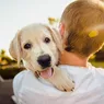 O nouă lege pentru proprietarii de câini. Unde nu vor mai avea acces patrupedele