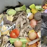 Ieșenii au aruncat tone de mâncare la gunoi de sărbătorile pascale. Risipa alimentară rămâne o problemă uriașă la Iași 8211 FOTO