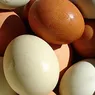 De ce ouăle mai închise la culoare costă mai mult decât cele albe