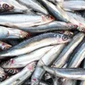 Alertă în România 71 de tone de pește infectat sau expirat pus la vânzare în magazine. Anunțul făcut de ANPC