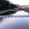 A fost inaugurată prima centrală fotovoltaică pe apă din România. Câtă energie este capabilă să producă