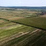 Suprafețe mici de terenuri agricole vândute cu peste 50.000 de euro pe hectar la Iași. Cine cumpără