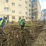 O firmă din Iași vrea contractul de reabilitare a spațiilor verzi din Târgu Frumos. Proiectul are o valoare de peste 16 milioane de lei 8211 FOTO