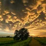 Fenomen meteo spectaculos pe cerul României. Ce sunt norii mammatus